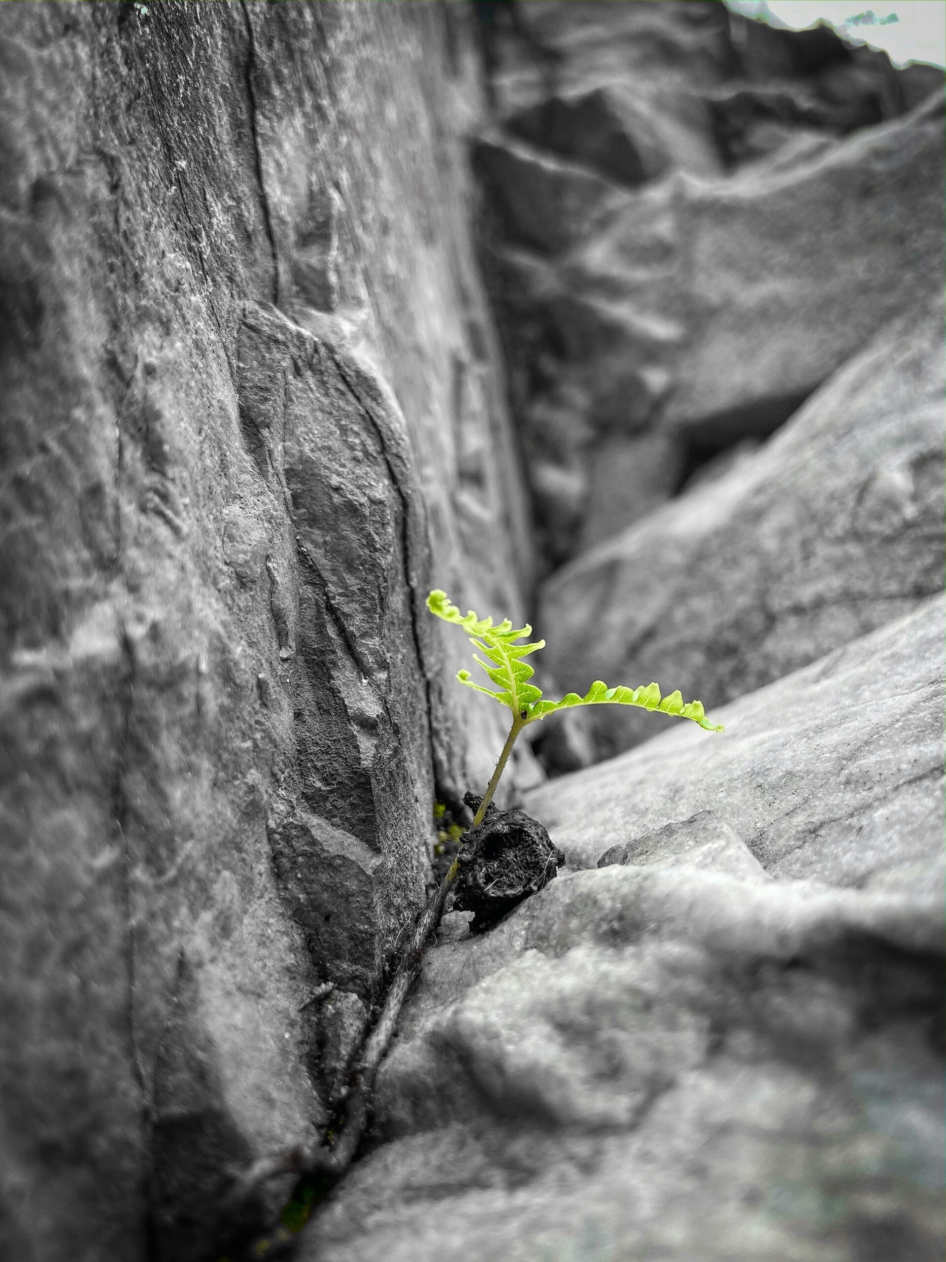 rawan-ahmed-61K4nHZnvLQ-unsplash rawan-ahmed-61K4nHZnvLQ-unsplash